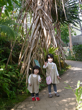 2013年　3月　17日（日）　夢の島　熱帯植物館_c0004078_16533612.jpg