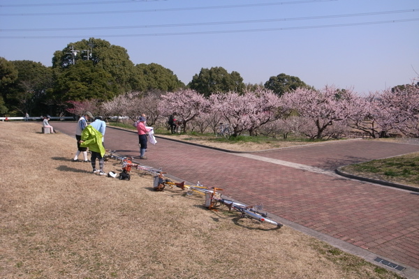 f0124378_2150363.jpg