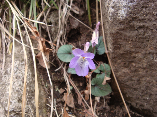 f0223480_21571540.jpg