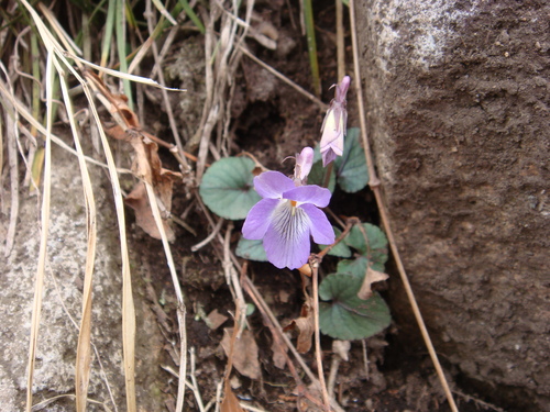 The last climbing tour　二日目　八面山_f0223480_21571540.jpg