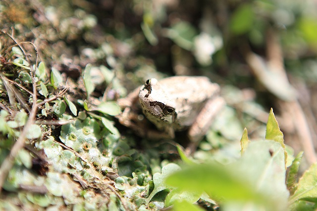 e0145693_12494851.jpg