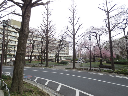 d0055395_9562541.jpg