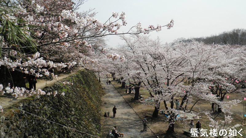 今年 H25 も懐古園桜まつりと懐古神社例大祭に行きたいな 例大祭は4月24日 25日 蜃気楼の如く 今年 H25 も懐古園桜まつりと懐古神社例大祭に行きたいな 例大祭は4月24日 25日 蜃気楼の如く