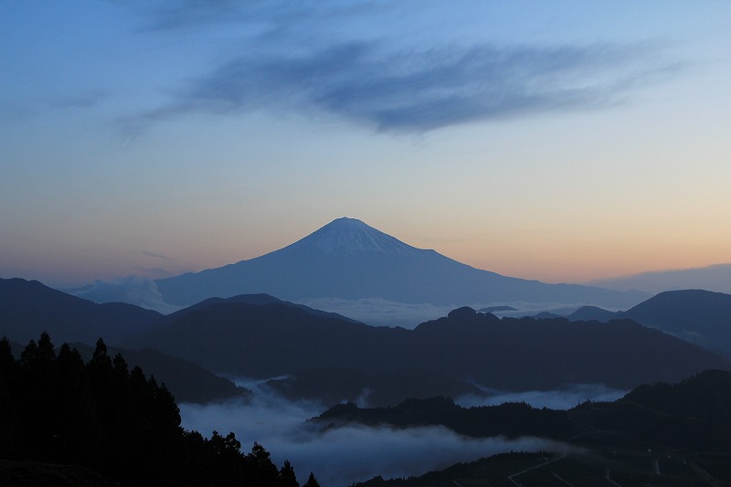 a0188405_92489.jpg