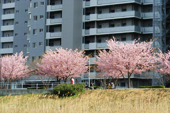 水上バスで東京散歩_e0255509_21104699.jpg