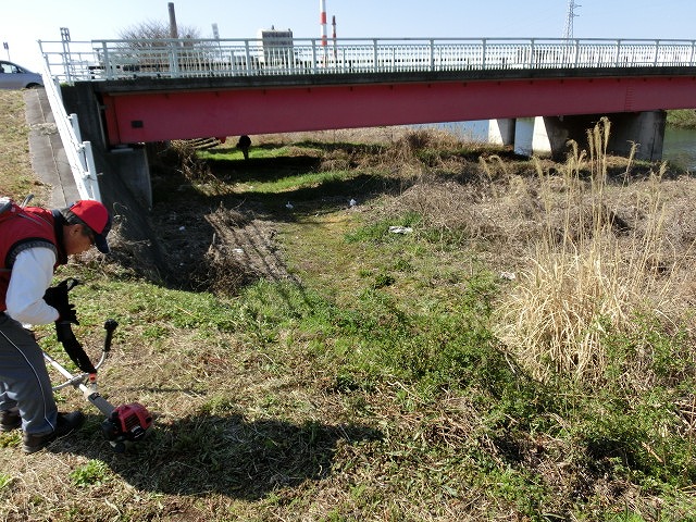 お花見ウォーク(31日)に向けた滝川・田宿川の草刈り清掃_f0141310_7322276.jpg