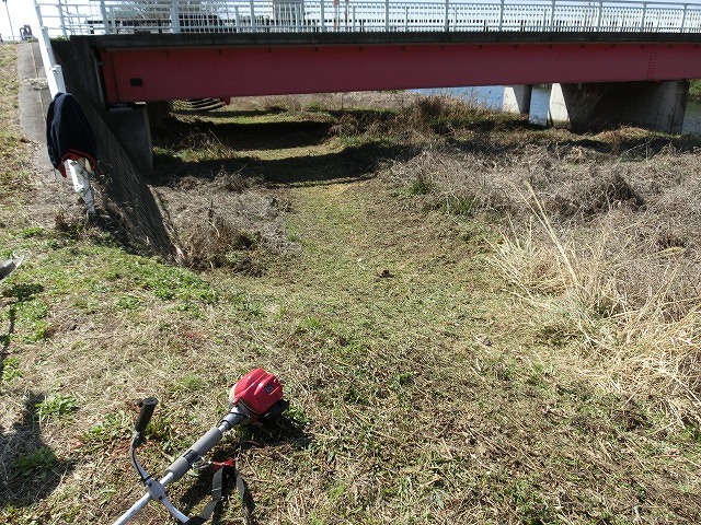 お花見ウォーク(31日)に向けた滝川・田宿川の草刈り清掃_f0141310_7323919.jpg