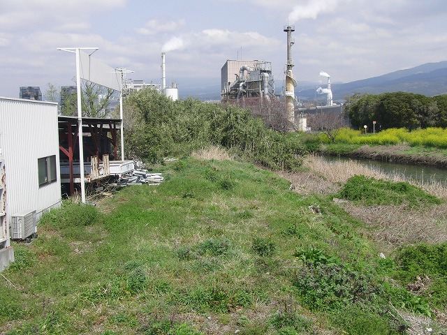 お花見ウォーク(31日)に向けた滝川・田宿川の草刈り清掃_f0141310_73593.jpg