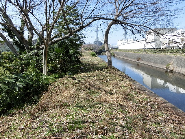 お花見ウォーク(31日)に向けた滝川・田宿川の草刈り清掃_f0141310_737579.jpg