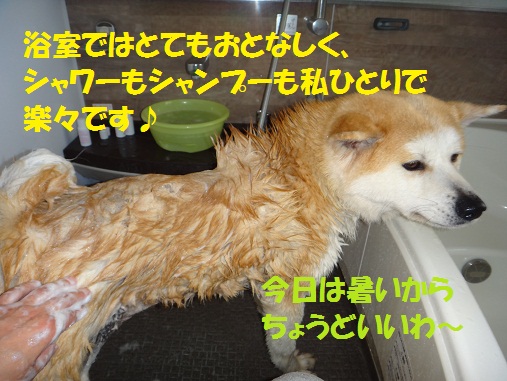 f0121712_1518221.jpg