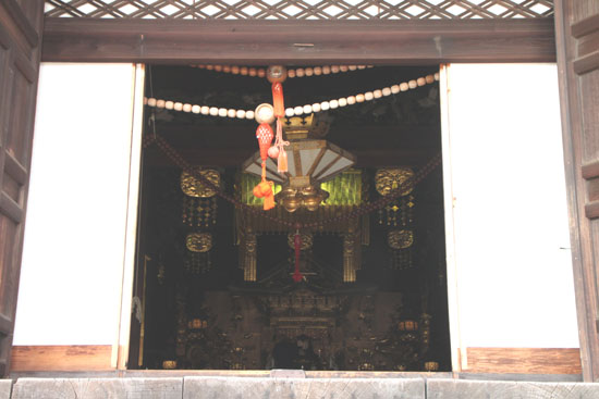 知恩寺のフジさくら_e0048413_21141036.jpg