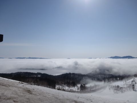 d0111435_20462133.jpg