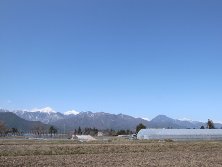 a0014840_2257859.jpg