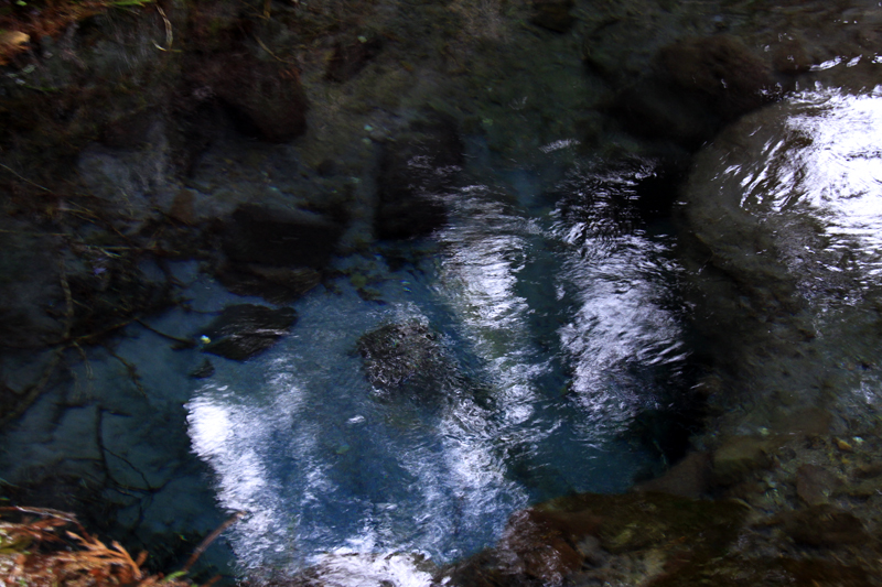 b0016545_20195592.jpg