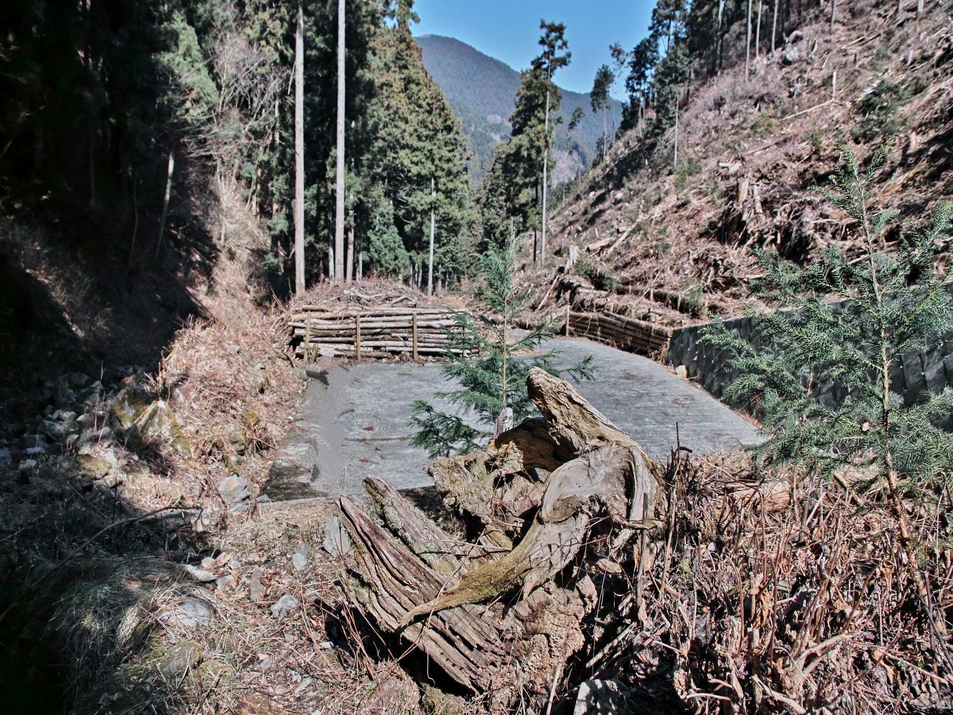 明王峠を繞る尾根と沢_c0008948_14201683.jpg