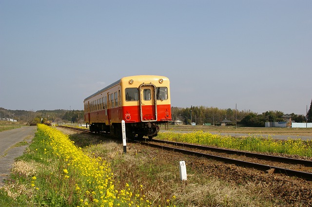 f0154751_22312755.jpg