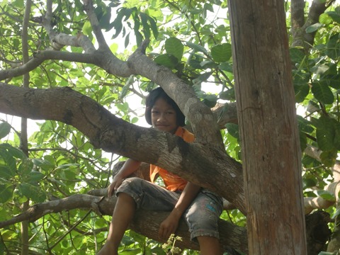 f0235252_24047.jpg