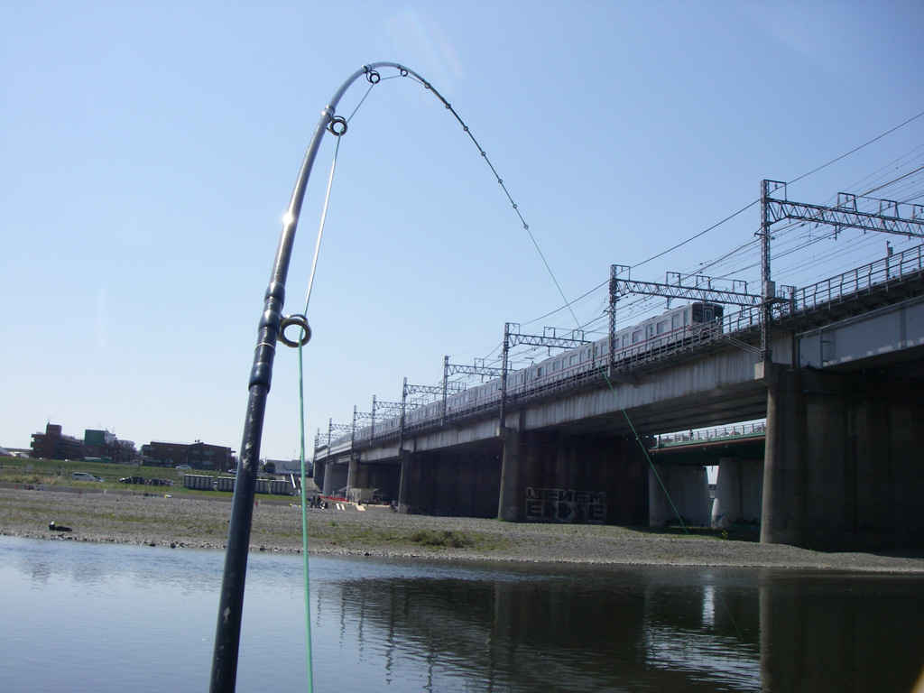 a0130057_0321438.jpg