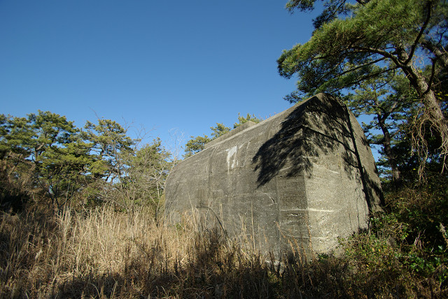 c0080357_1131131.jpg