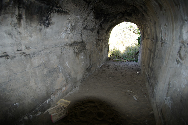 c0080357_114152.jpg