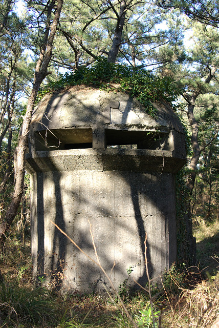 c0080357_1143514.jpg