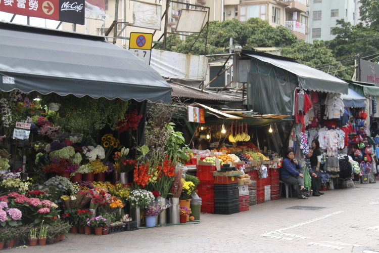 c0202860_82293.jpg