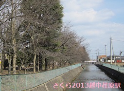 富山地鉄のさくらマップ2013@越中荏原駅_a0243562_11422156.jpg