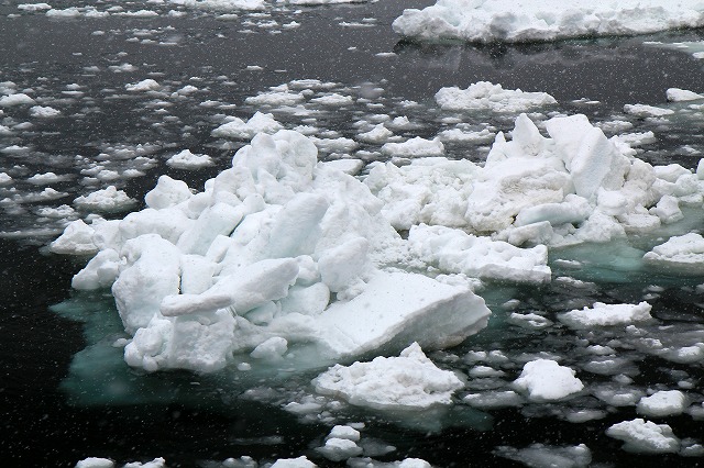 北海度への旅・オホーツク海流氷クルージング_a0148866_10192181.jpg