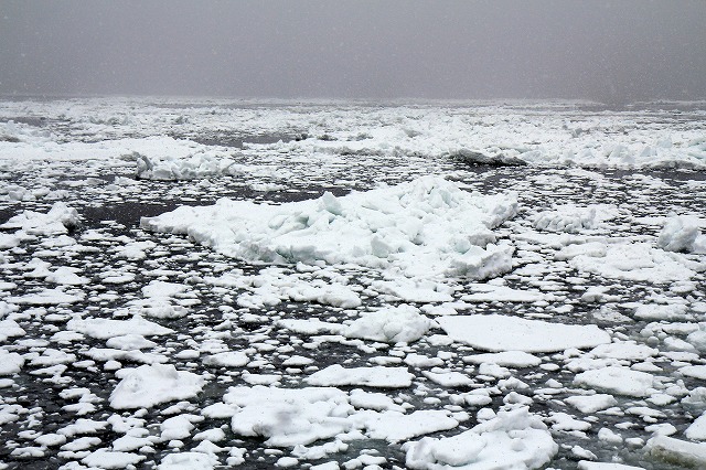 北海度への旅・オホーツク海流氷クルージング_a0148866_1020744.jpg