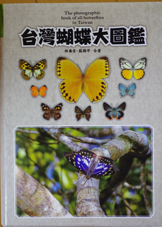 台湾の蝶の図鑑 : 蝶と蜻蛉の撮影日記 台湾の蝶の図鑑 : 蝶と蜻蛉の撮影日記