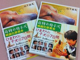 映画『ひまわりと子犬の7日間』原作本プレゼント!!_d0029276_1202811.jpg