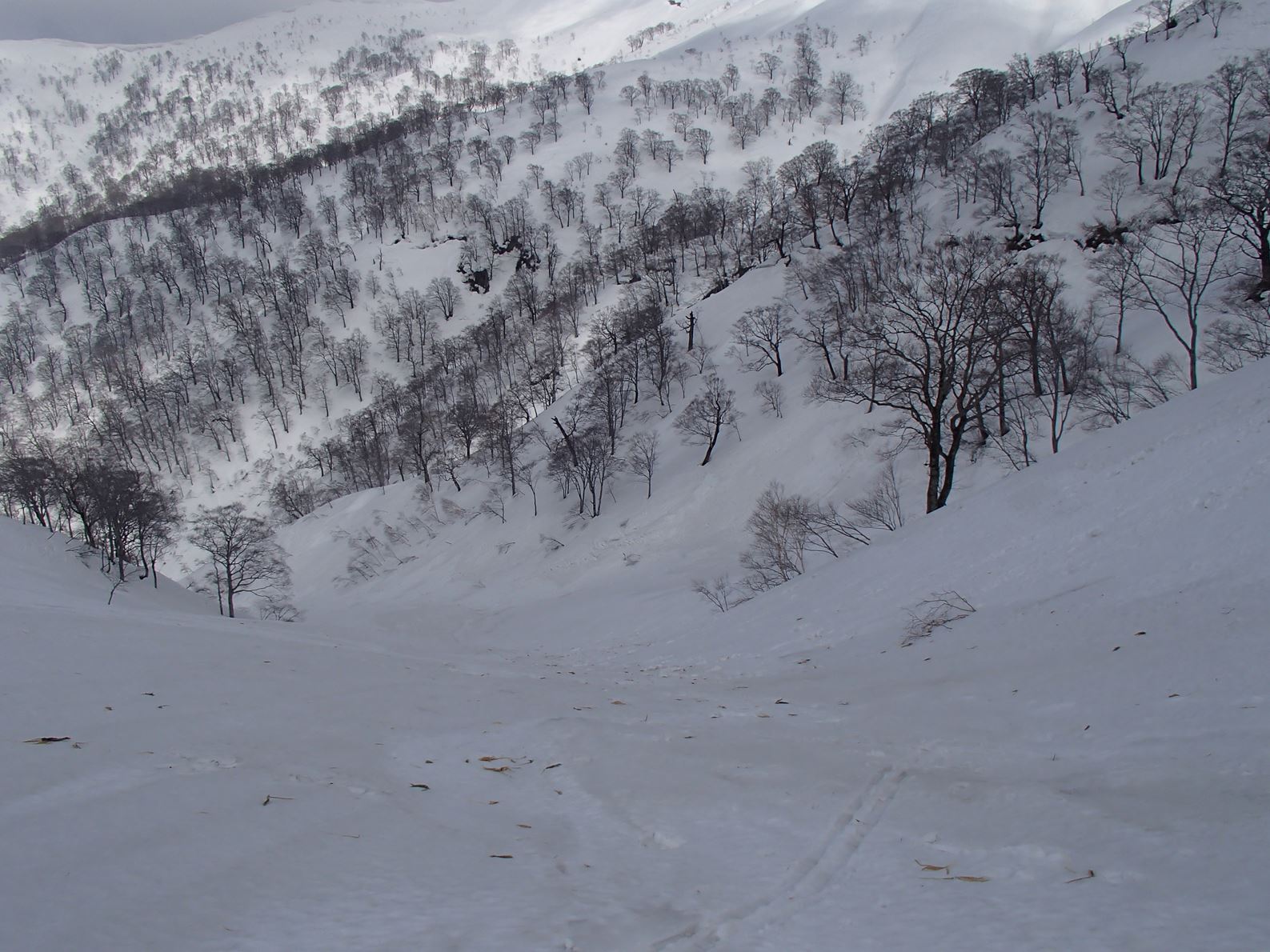 「里は春でも山は冬」などと申しますが、蓬峠_b0012281_2243054.jpg