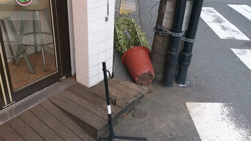 『ダメダメ月曜日』_a0075684_0444426.jpg