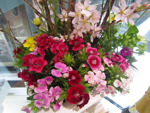 春ですね~!!_a0171984_18412030.jpg