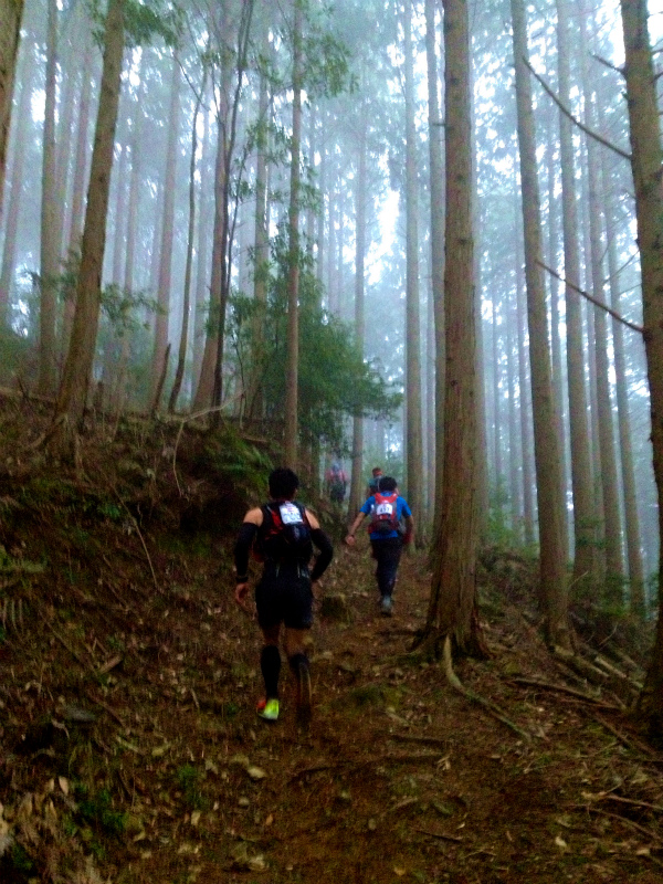 Izu Trail Journey 75K_b0220886_10271156.jpg