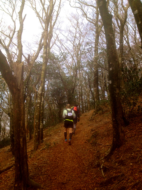 Izu Trail Journey 75K_b0220886_104315100.jpg