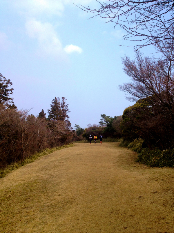 Izu Trail Journey 75K_b0220886_1119661.jpg