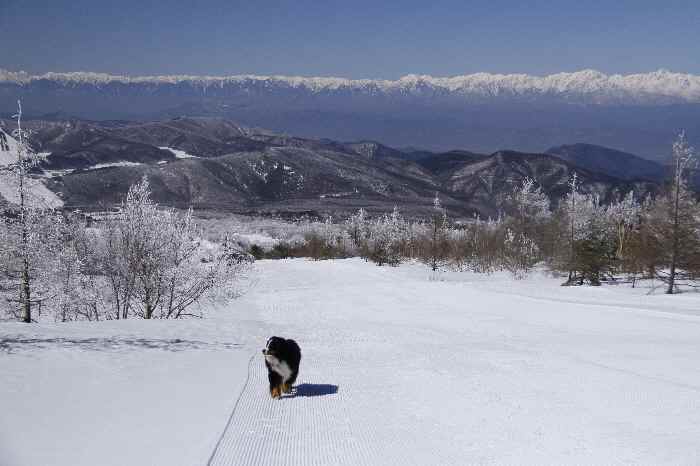 雪山登山　頂上編_b0158390_15405760.jpg