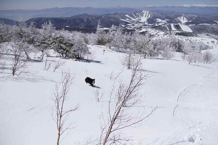 雪山登山　頂上編_b0158390_15413153.jpg