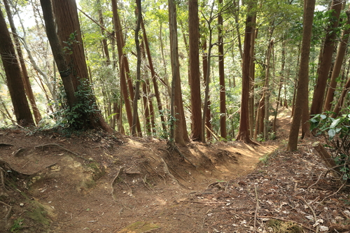 b0275998_23661.jpg