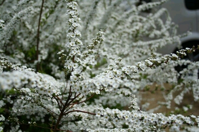 f0114900_16255526.jpg