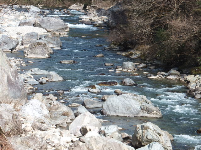 a0271502_833713.jpg