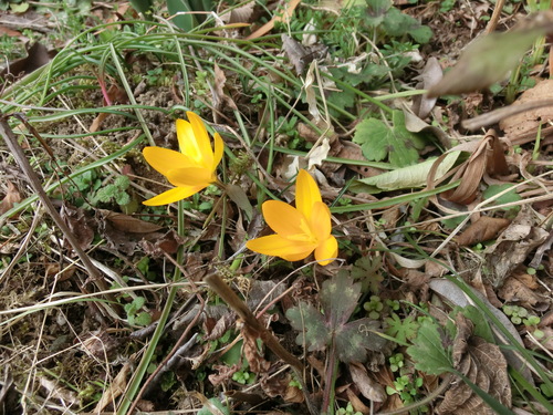 c0156104_22433343.jpg