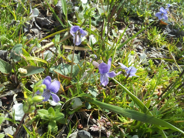e0033713_9314785.jpg