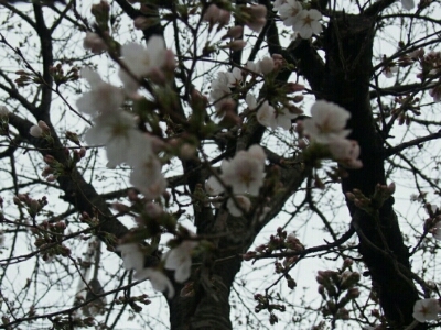 f0239713_22241328.jpg