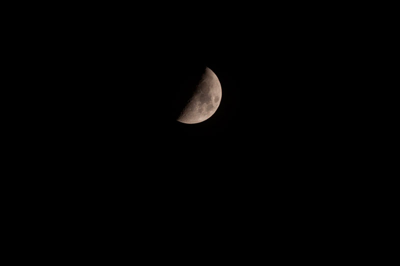a0278914_7443559.jpg