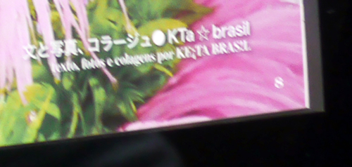 【初公開】ほんとに・・・、「ちょっとだけ」よ♡　→ → →_b0032617_16514412.jpg