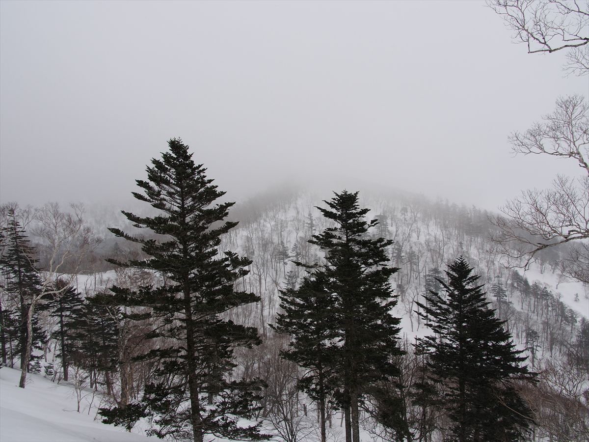 幌平山でプチ遭難･･･　2013.3.20_a0145819_2055215.jpg