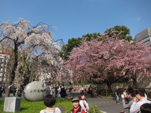 上野散策:春の芸術鑑賞_d0010432_1383867.jpg
