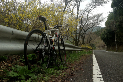 やっと乗れた自転車_f0196634_2062136.jpg